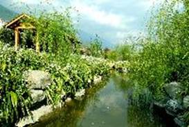 大理大學_百花園